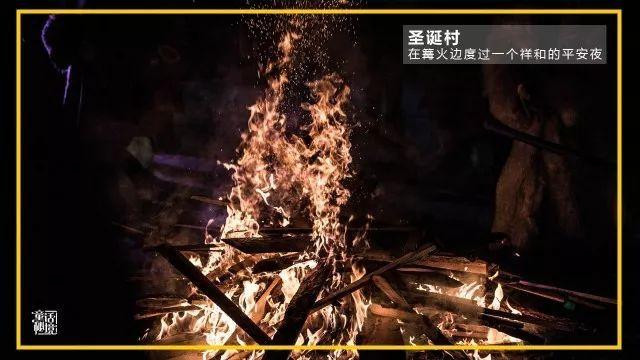 逗小猴开心系列204